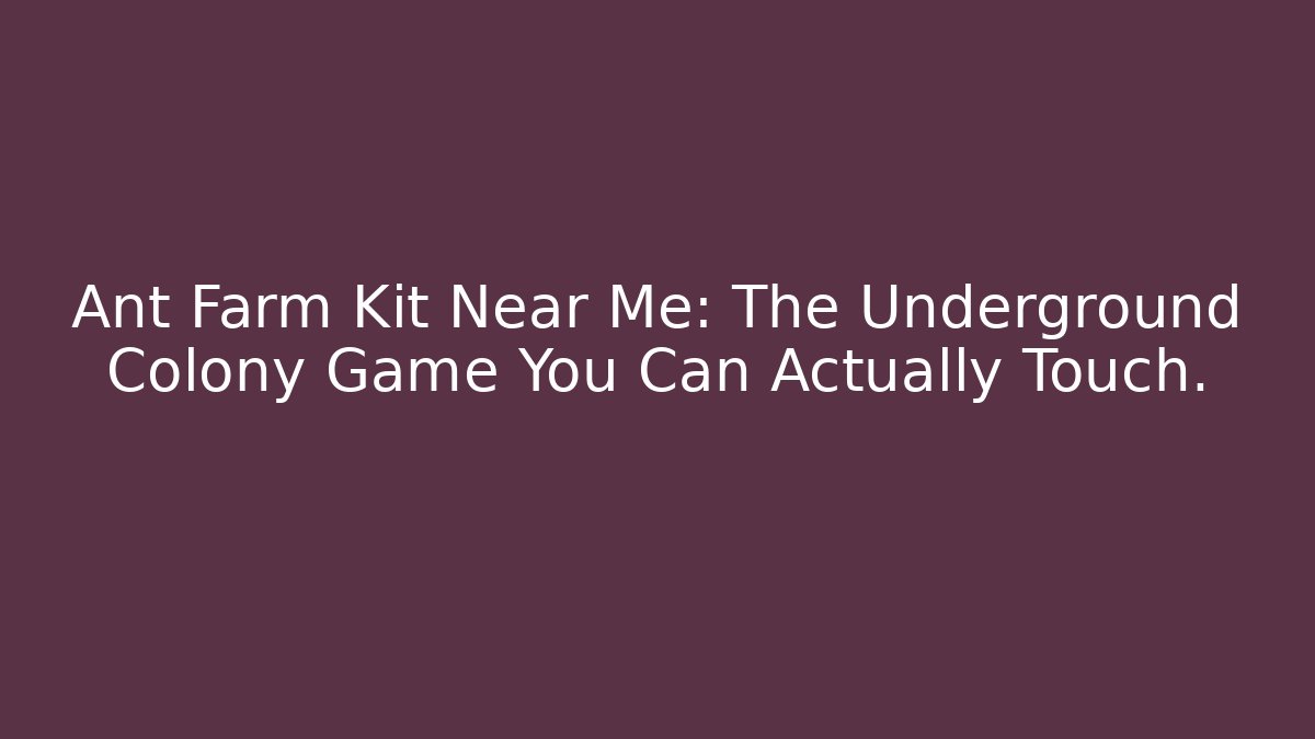 Ant Farm Kit Near Me: The Underground Colony Game You Can Actually Touch.