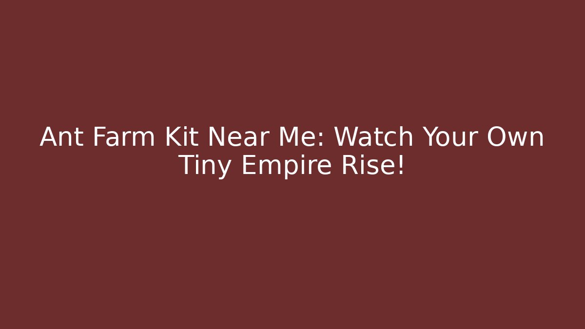 Ant Farm Kit Near Me: Watch Your Own Tiny Empire Rise!