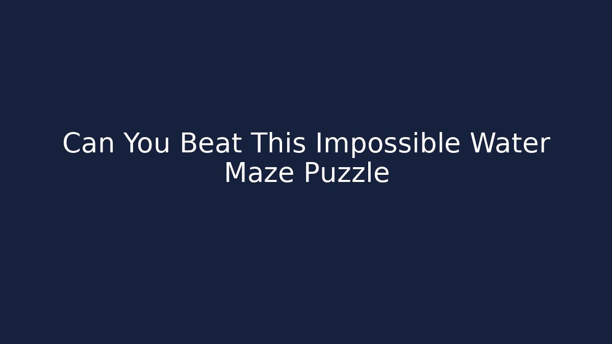 Can You Beat This Impossible Water Maze Puzzle
