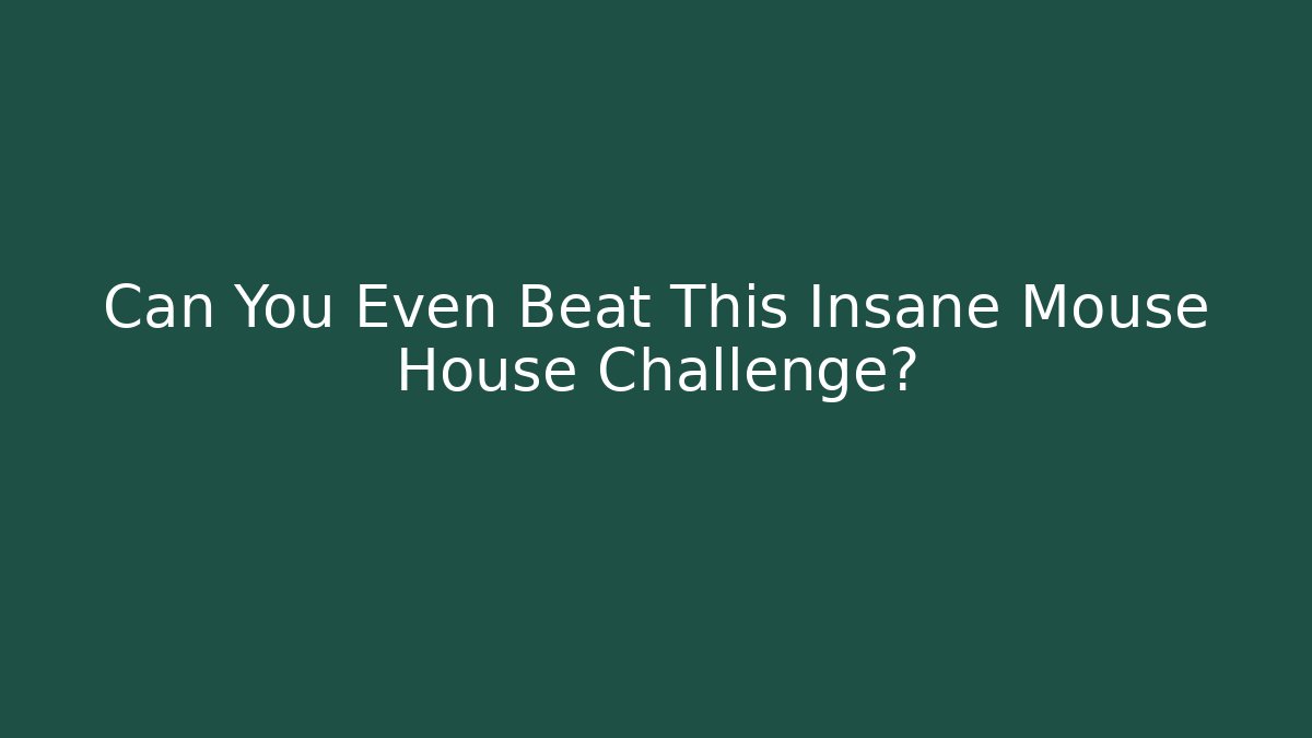 Can You Even Beat This Insane Mouse House Challenge?