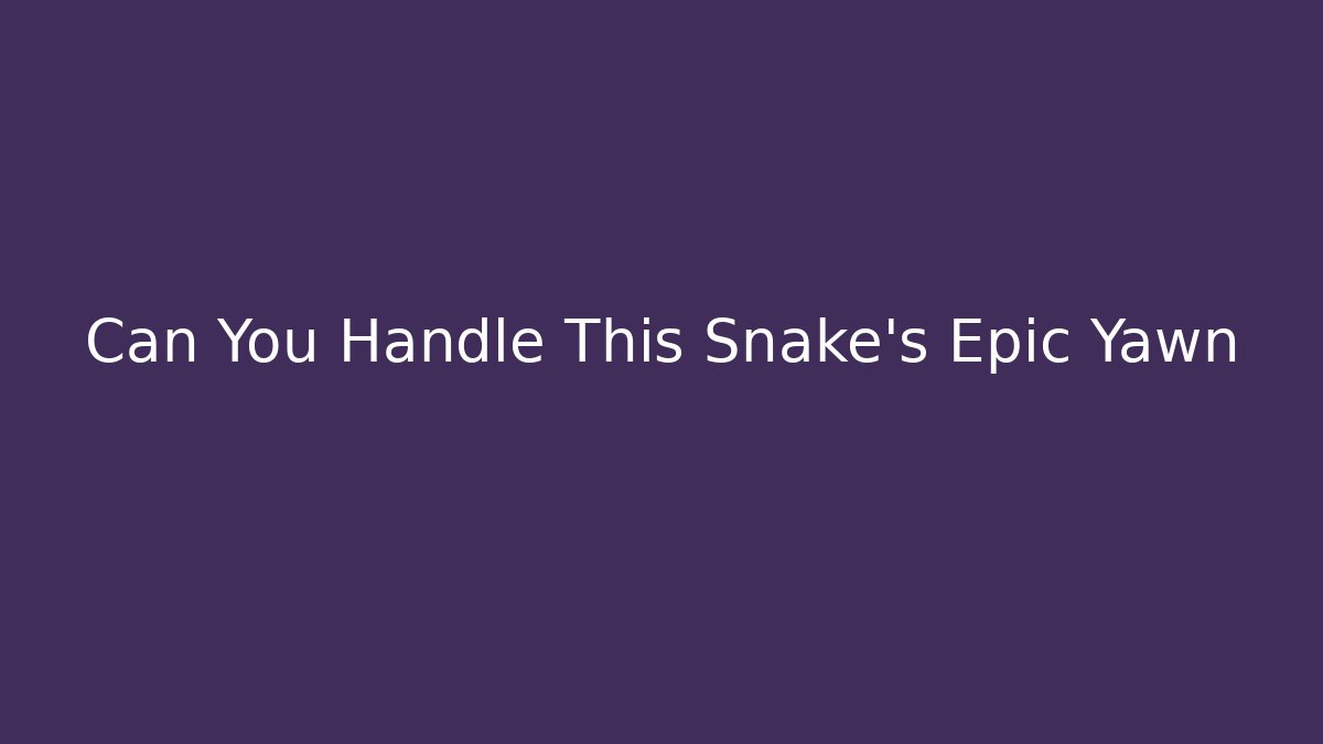 Can You Handle This Snake's Epic Yawn