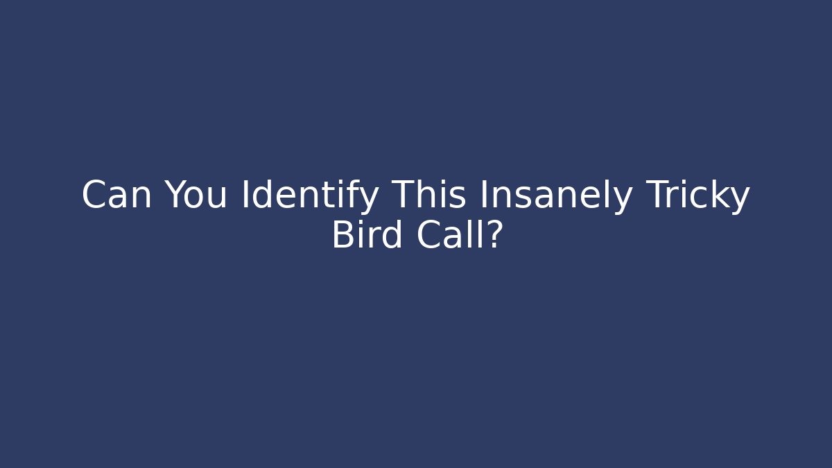 Can You Identify This Insanely Tricky Bird Call? - Andrea Zevedo