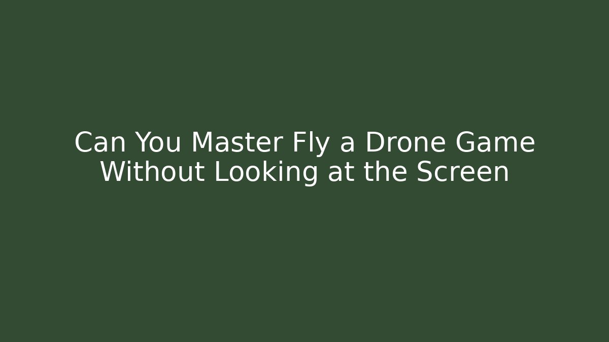 Can You Master Fly a Drone Game Without Looking at the Screen