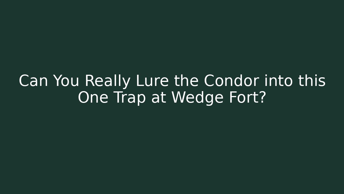 Can You Really Lure the Condor into this One Trap at Wedge Fort?