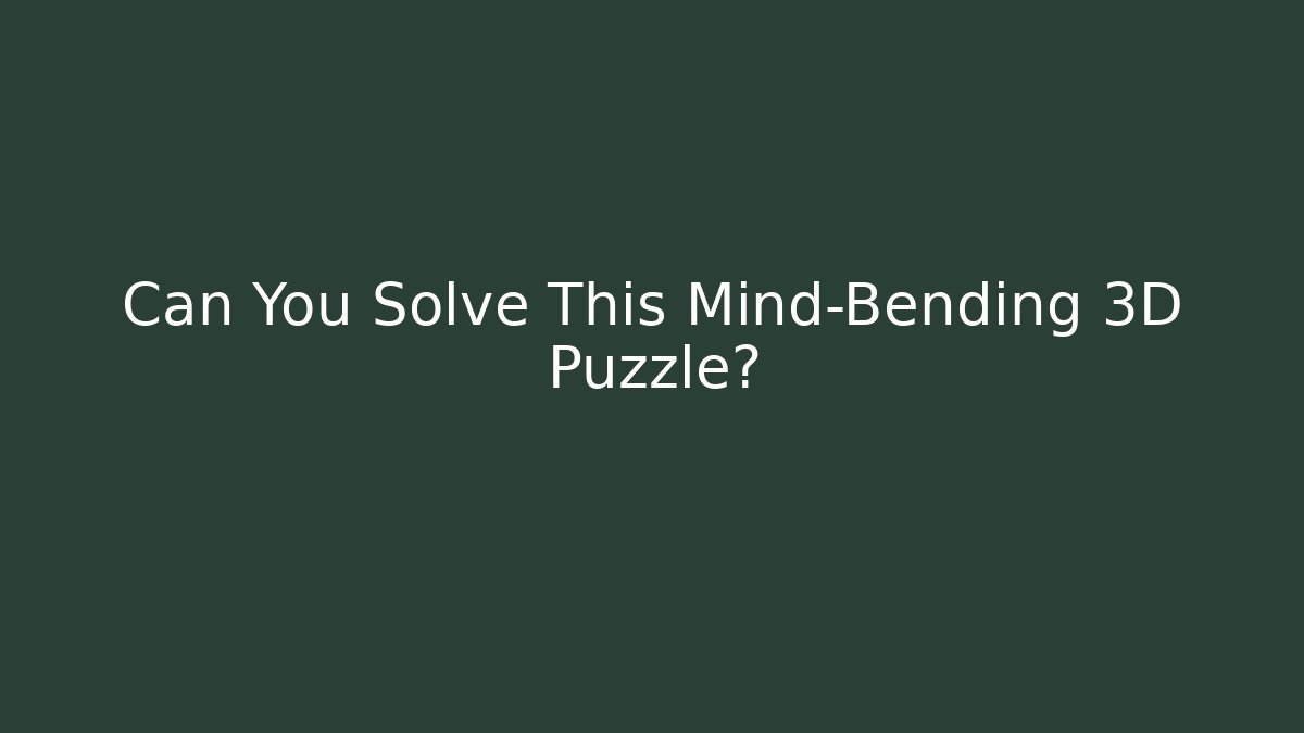 Can You Solve This Mind-Bending 3D Puzzle?