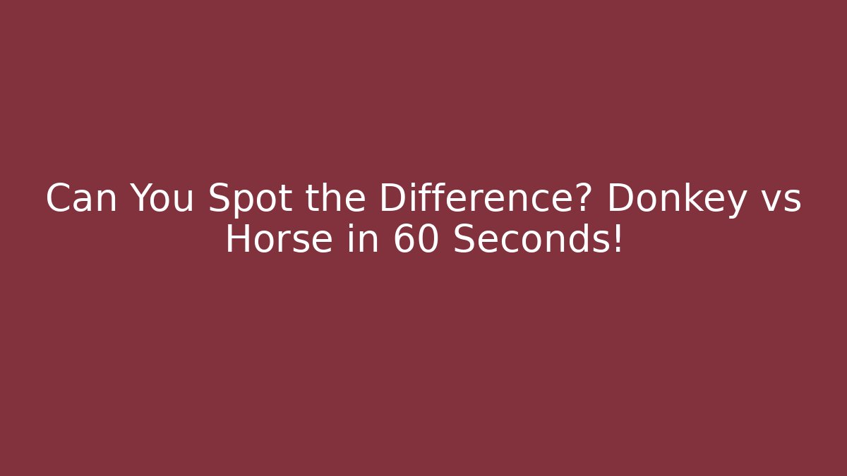 Can You Spot the Difference? Donkey vs Horse in 60 Seconds!