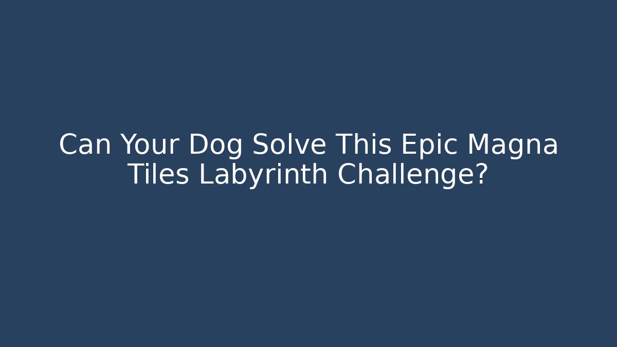 Can Your Dog Solve This Epic Magna Tiles Labyrinth Challenge? - Andrea Zevedo