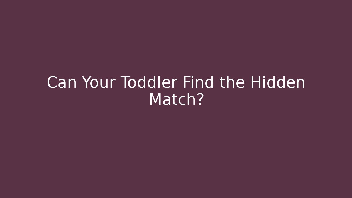 Can Your Toddler Find the Hidden Match?
