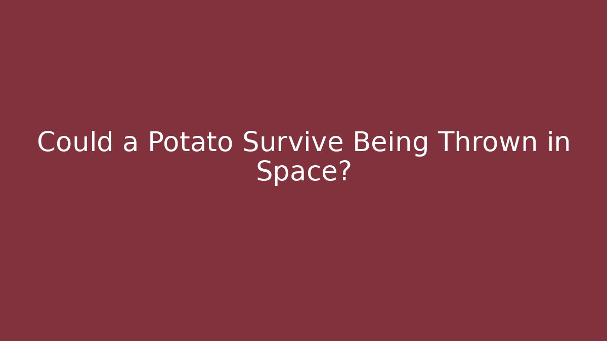 Could a Potato Survive Being Thrown in Space?