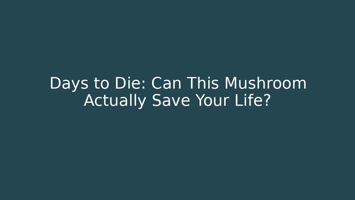 Days to Die: Can This Mushroom Actually Save Your Life?