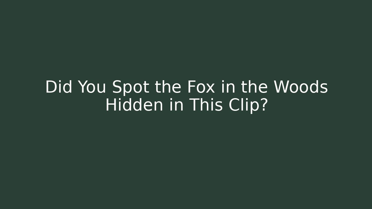 Did You Spot the Fox in the Woods Hidden in This Clip?
