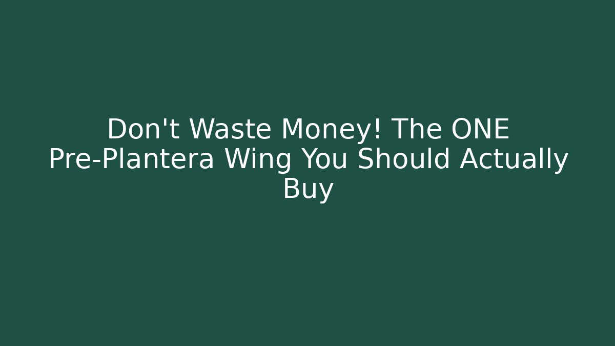 Don't Waste Money! The ONE Pre-Plantera Wing You Should Actually Buy