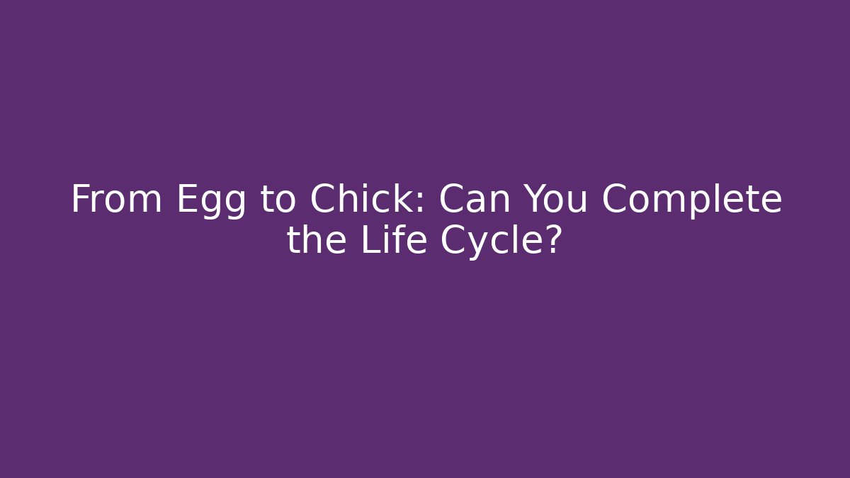 From Egg to Chick: Can You Complete the Life Cycle?