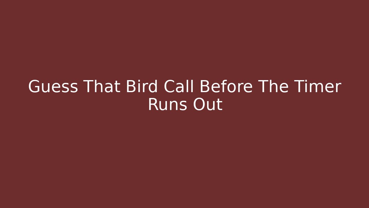 Guess That Bird Call Before The Timer Runs Out - Andrea Zevedo