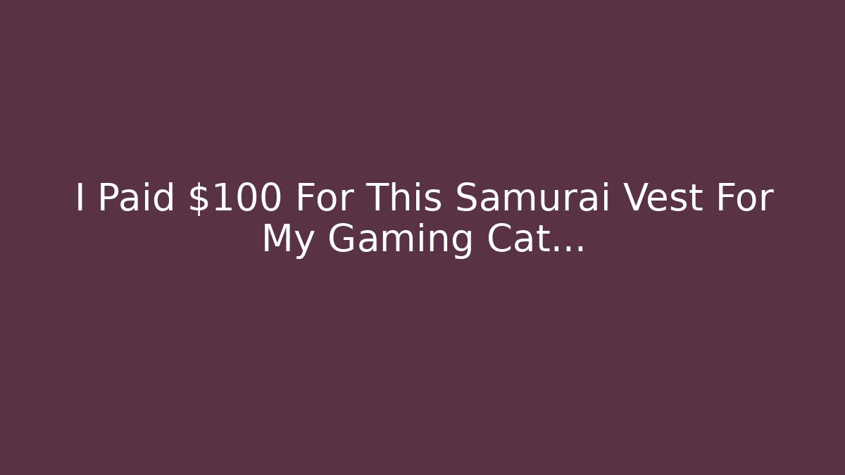 I Paid $100 For This Samurai Vest For My Gaming Cat...