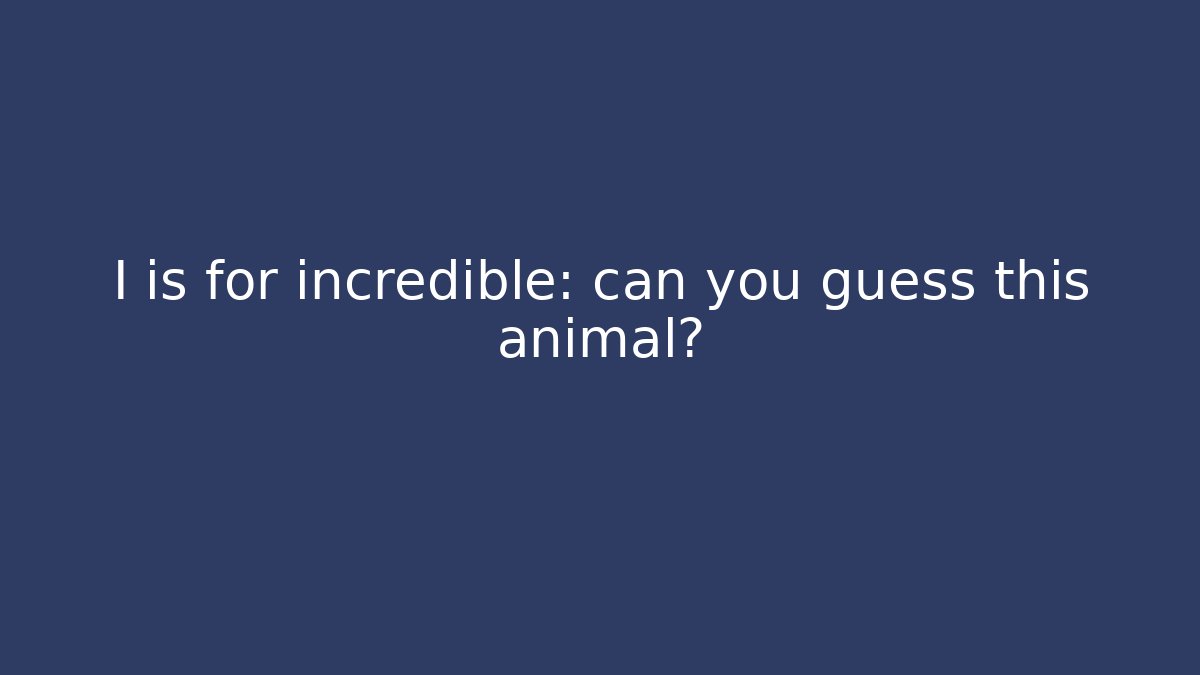I is for incredible: can you guess this animal?