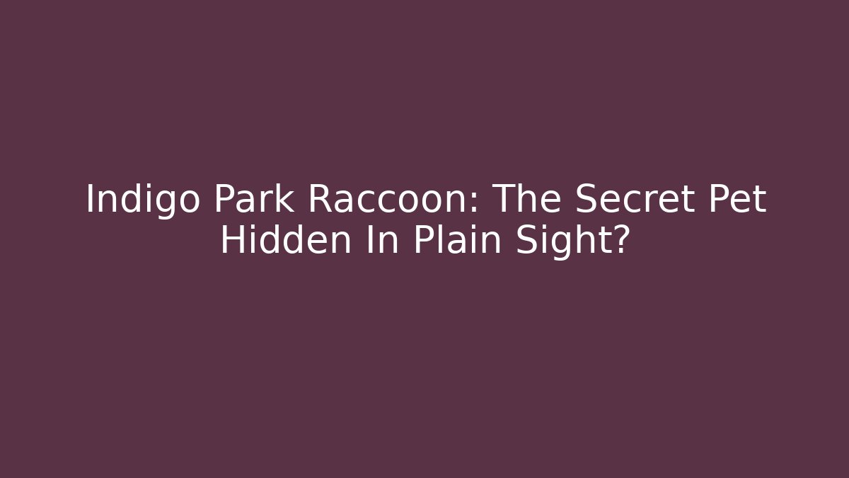 Indigo Park Raccoon: The Secret Pet Hidden In Plain Sight? - Andrea Zevedo