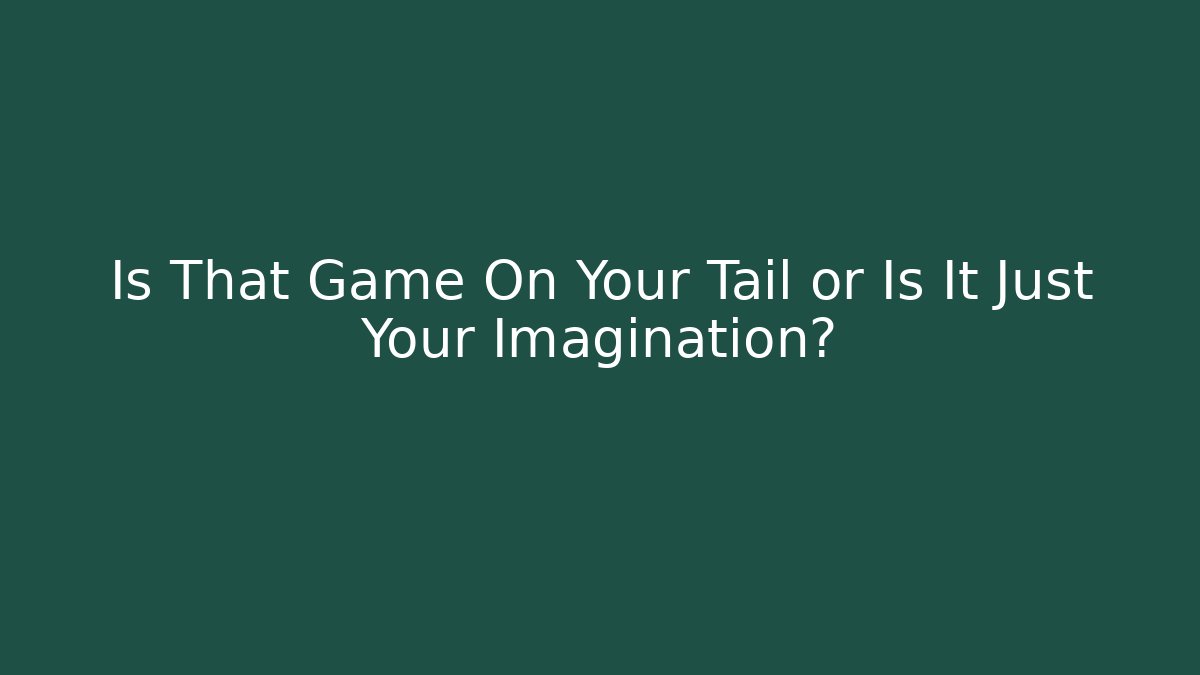 Is That Game On Your Tail or Is It Just Your Imagination?