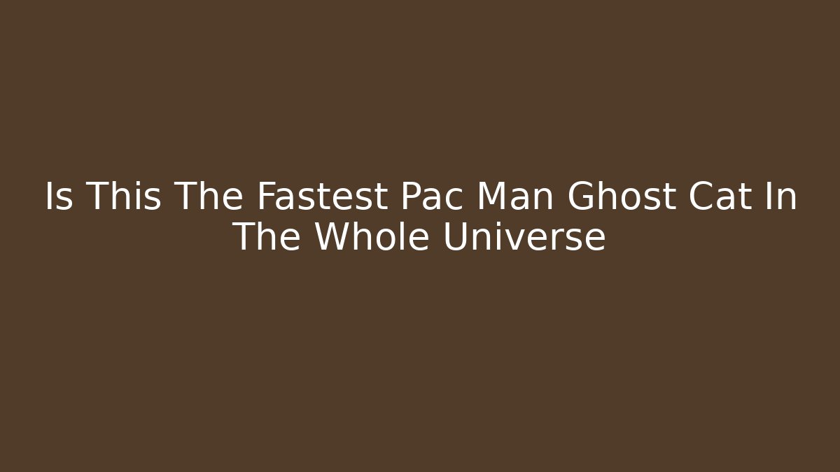 Is This The Fastest Pac Man Ghost Cat In The Whole Universe