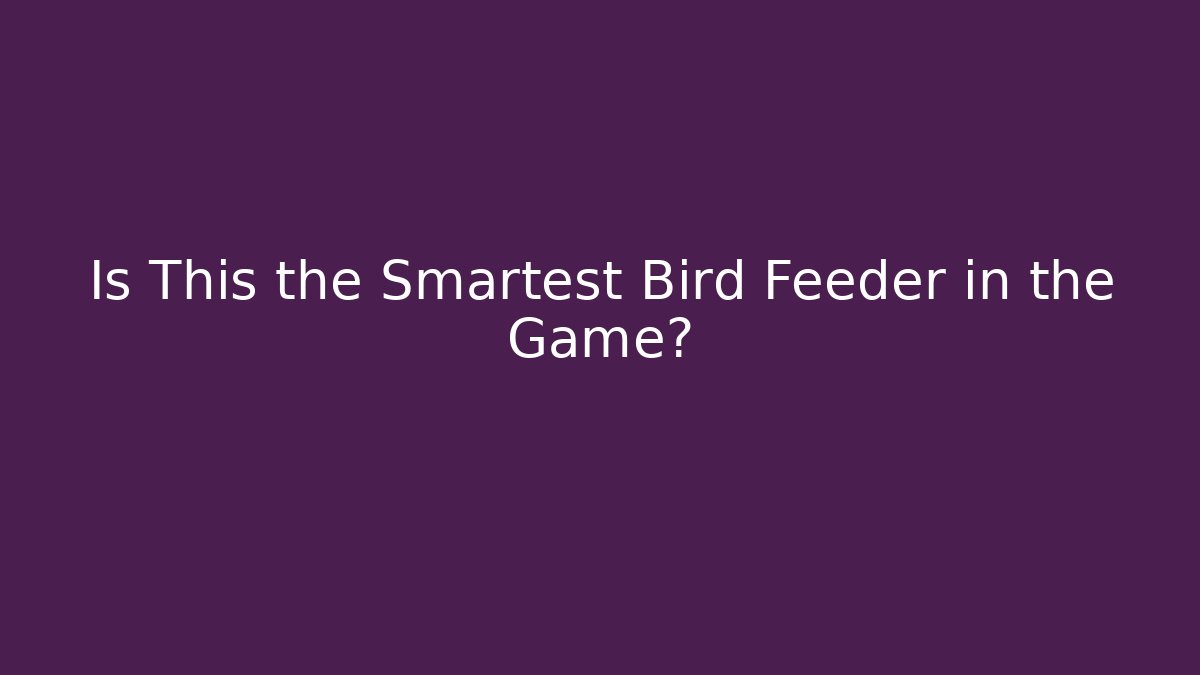 Is This the Smartest Bird Feeder in the Game?