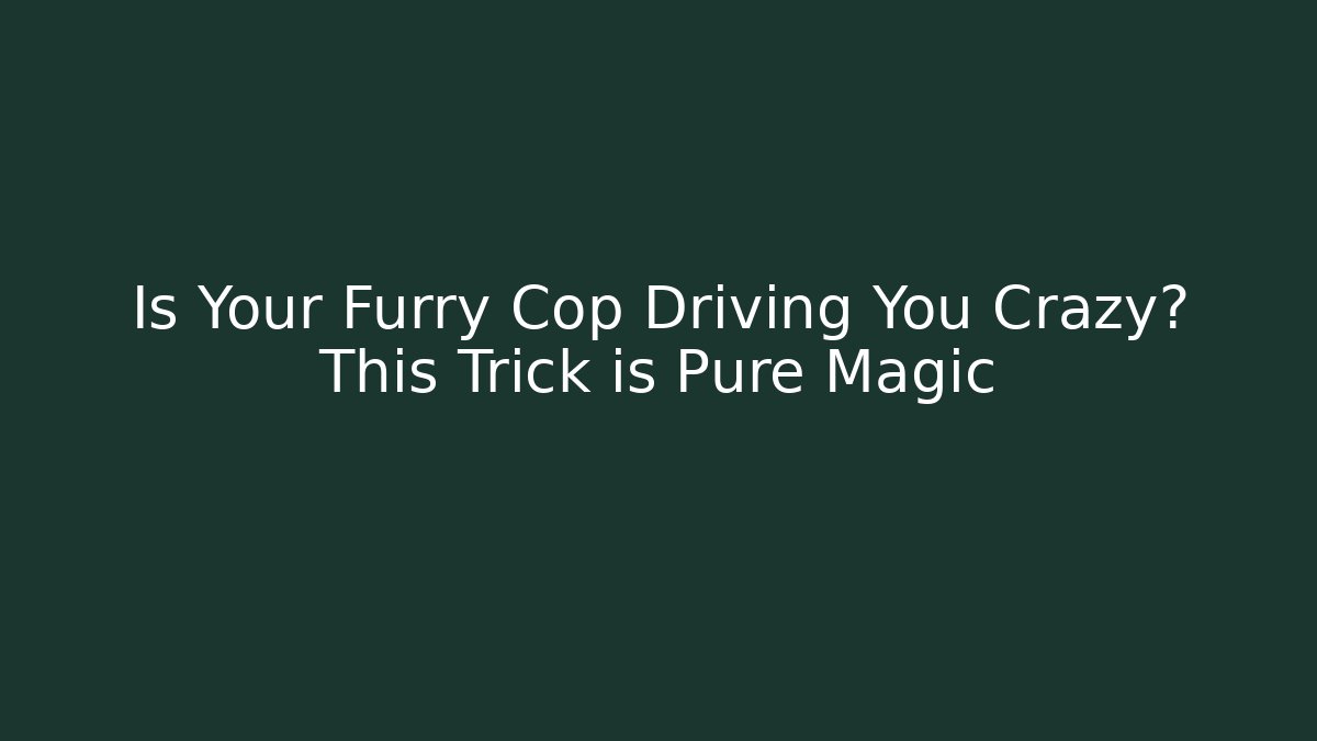 Is Your Furry Cop Driving You Crazy? This Trick is Pure Magic