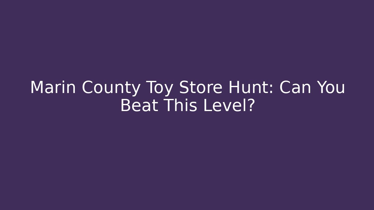 Marin County Toy Store Hunt: Can You Beat This Level?