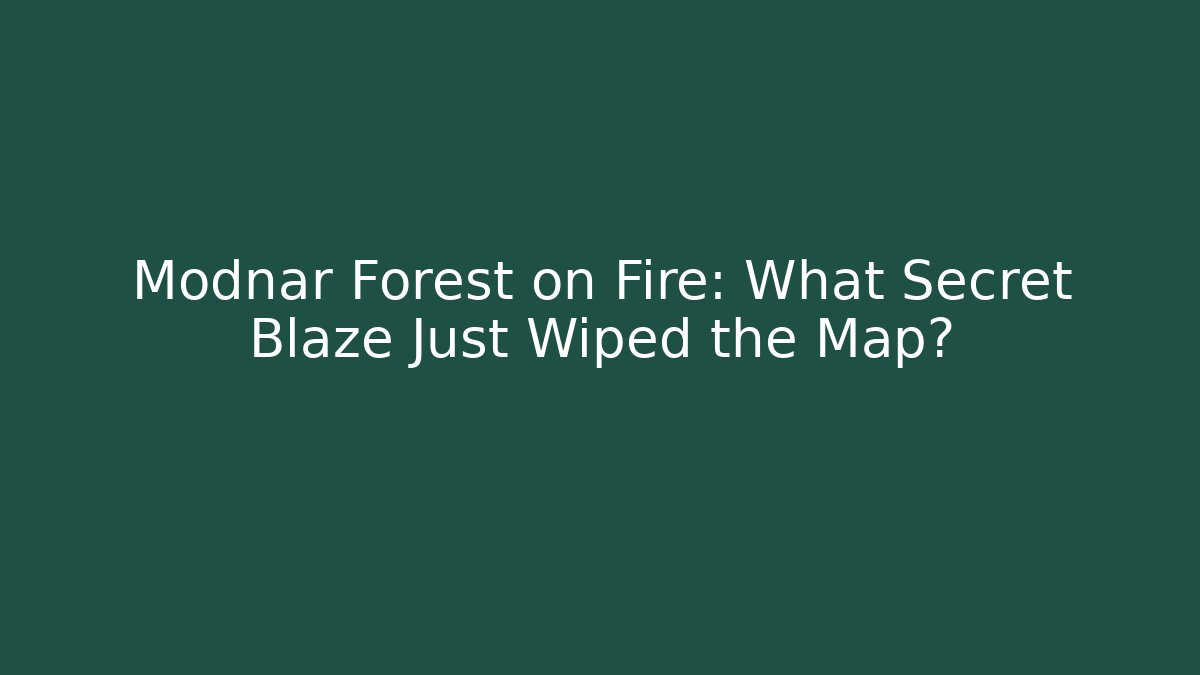 Modnar Forest on Fire: What Secret Blaze Just Wiped the Map?