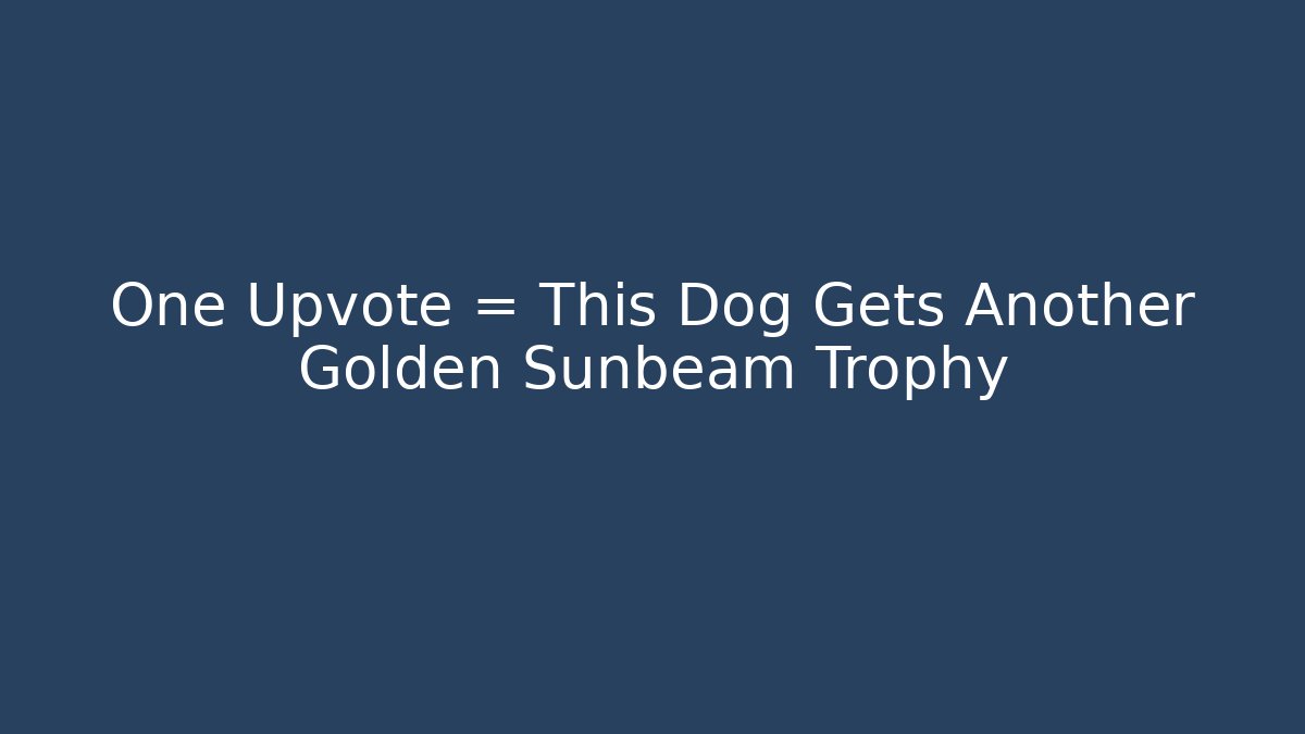 One Upvote = This Dog Gets Another Golden Sunbeam Trophy - Andrea Zevedo