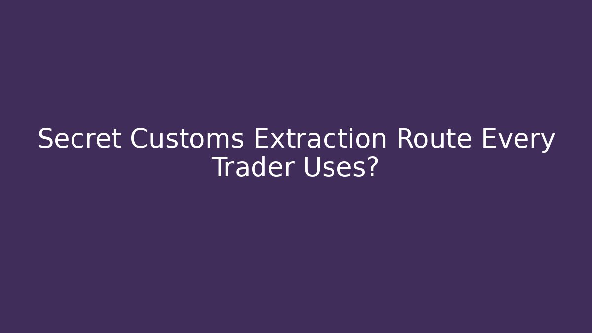 Secret Customs Extraction Route Every Trader Uses?