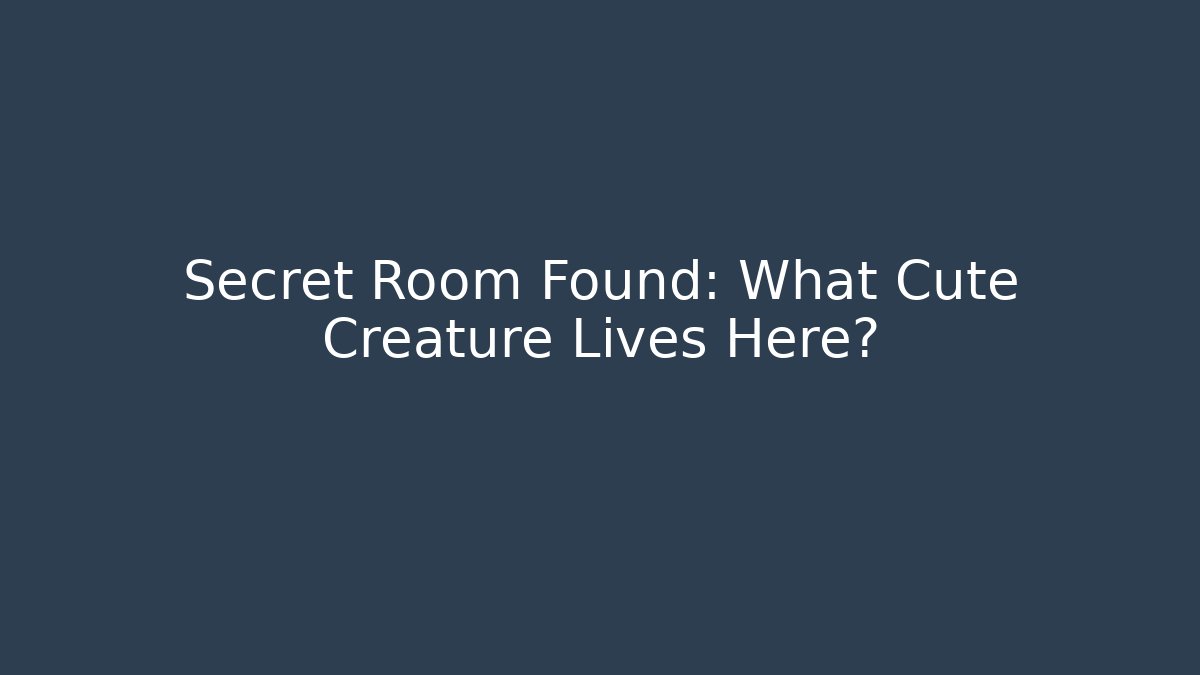 Secret Room Found: What Cute Creature Lives Here?