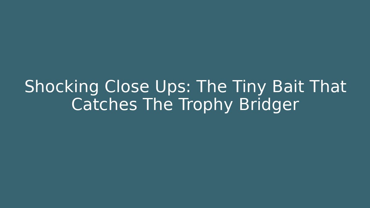 Shocking Close Ups: The Tiny Bait That Catches The Trophy Bridger