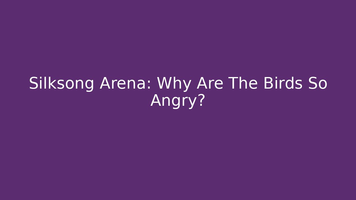 Silksong Arena: Why Are The Birds So Angry?