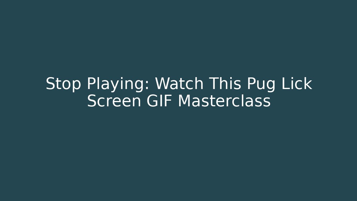 Stop Playing: Watch This Pug Lick Screen GIF Masterclass