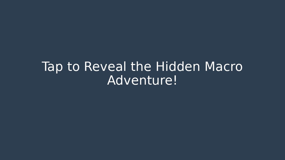 Tap to Reveal the Hidden Macro Adventure!
