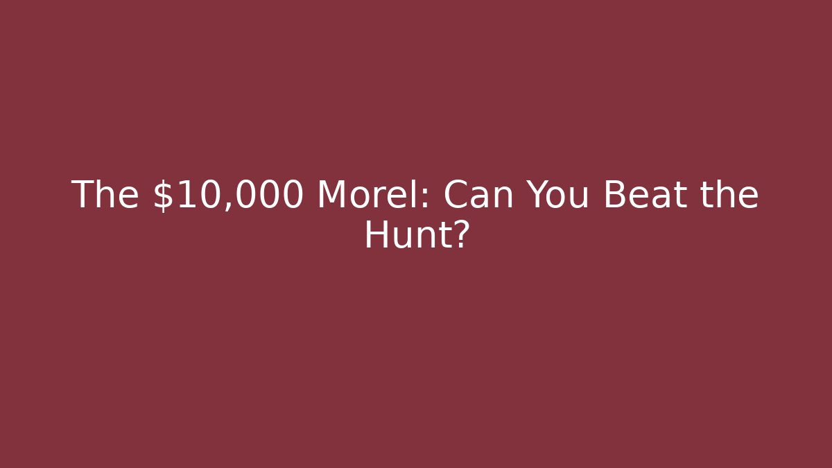 The $10,000 Morel: Can You Beat the Hunt?