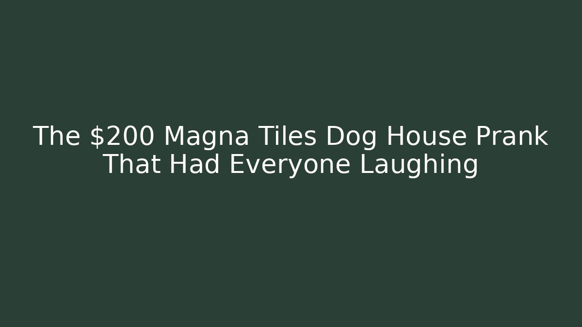 The $200 Magna Tiles Dog House Prank That Had Everyone Laughing