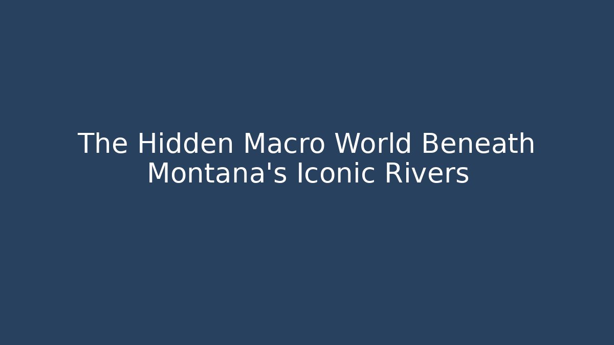 The Hidden Macro World Beneath Montana's Iconic Rivers