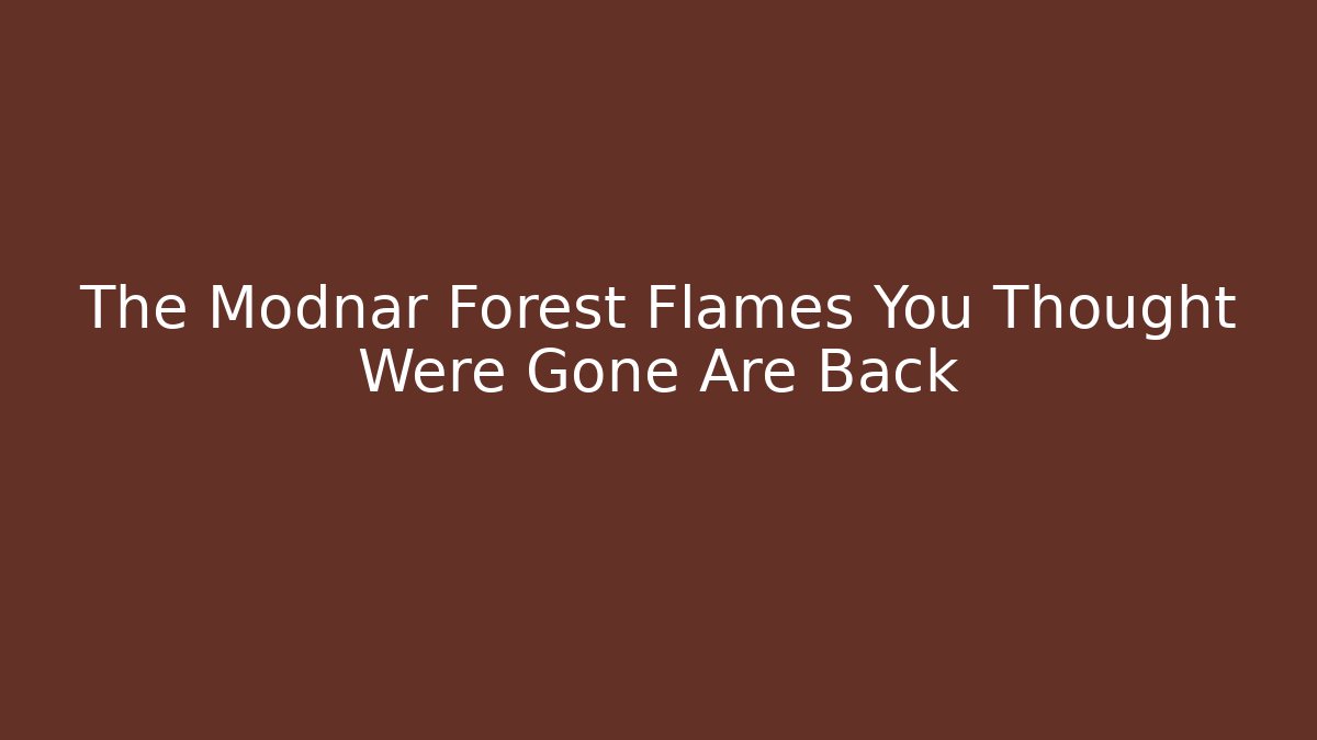 The Modnar Forest Flames You Thought Were Gone Are Back