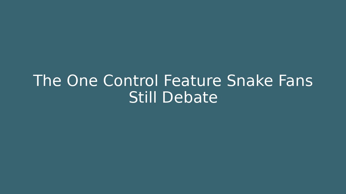 The One Control Feature Snake Fans Still Debate