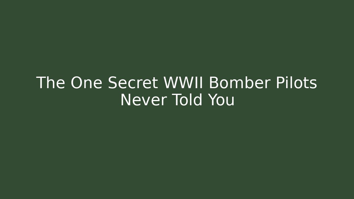 The One Secret WWII Bomber Pilots Never Told You
