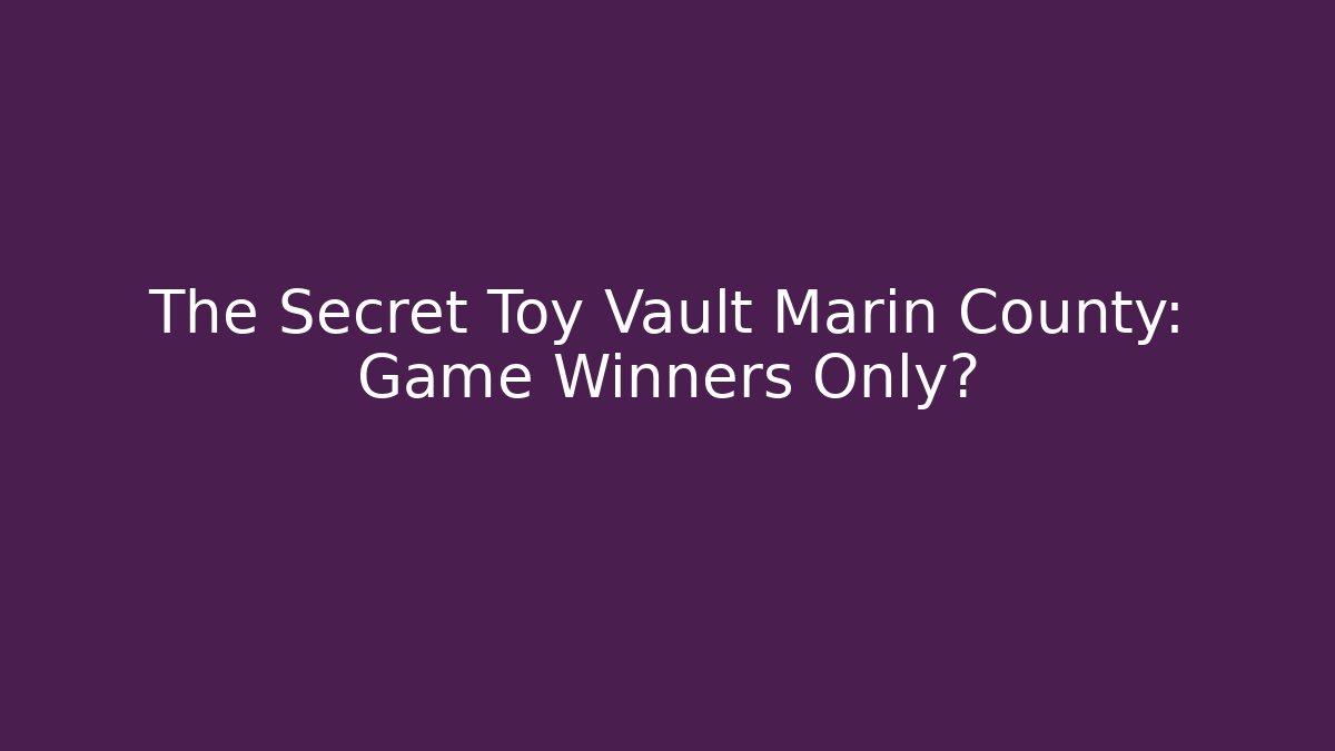 The Secret Toy Vault Marin County: Game Winners Only?