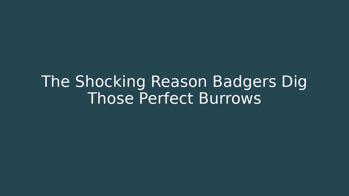 The Shocking Reason Badgers Dig Those Perfect Burrows