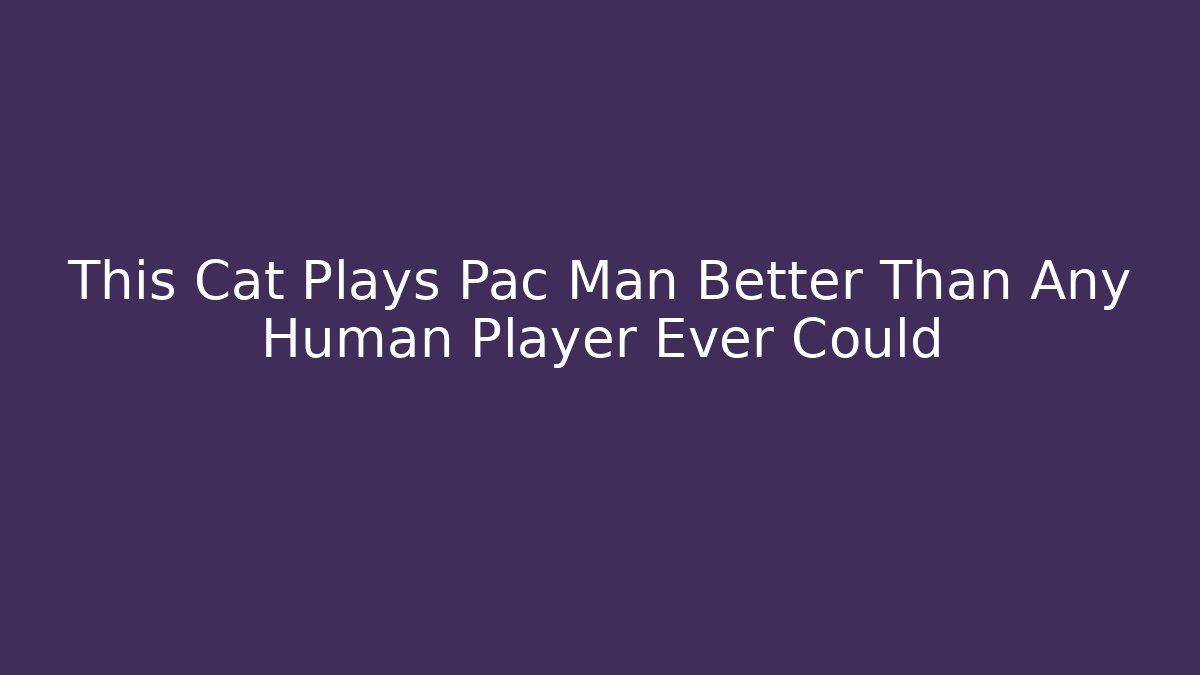 This Cat Plays Pac Man Better Than Any Human Player Ever Could