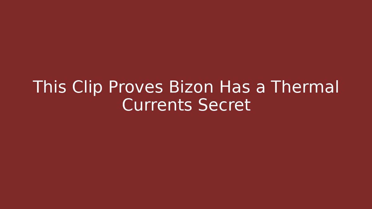 This Clip Proves Bizon Has a Thermal Currents Secret