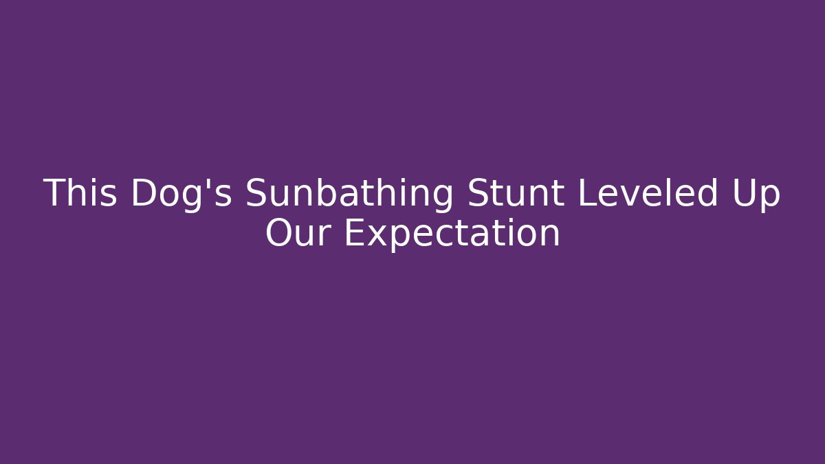This Dog's Sunbathing Stunt Leveled Up Our Expectation