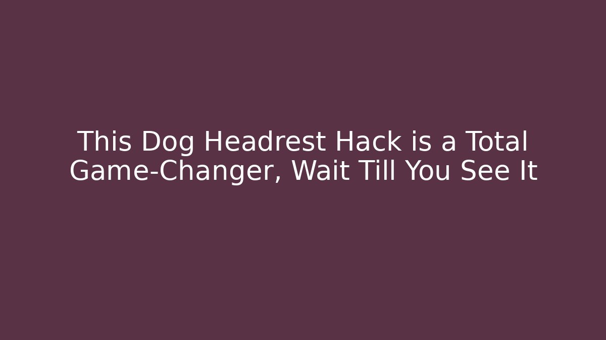 This Dog Headrest Hack is a Total Game-Changer, Wait Till You See It - Andrea Zevedo