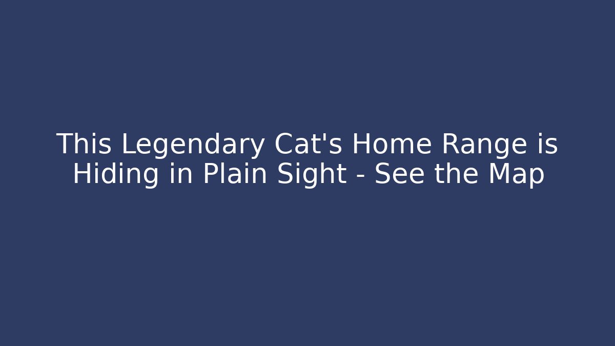 This Legendary Cat’s Home Range is Hiding in Plain Sight – See the Map - Andrea Zevedo