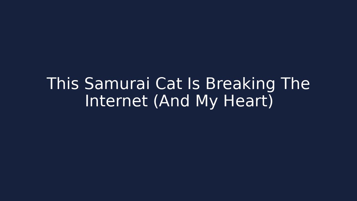 This Samurai Cat Is Breaking The Internet (And My Heart)