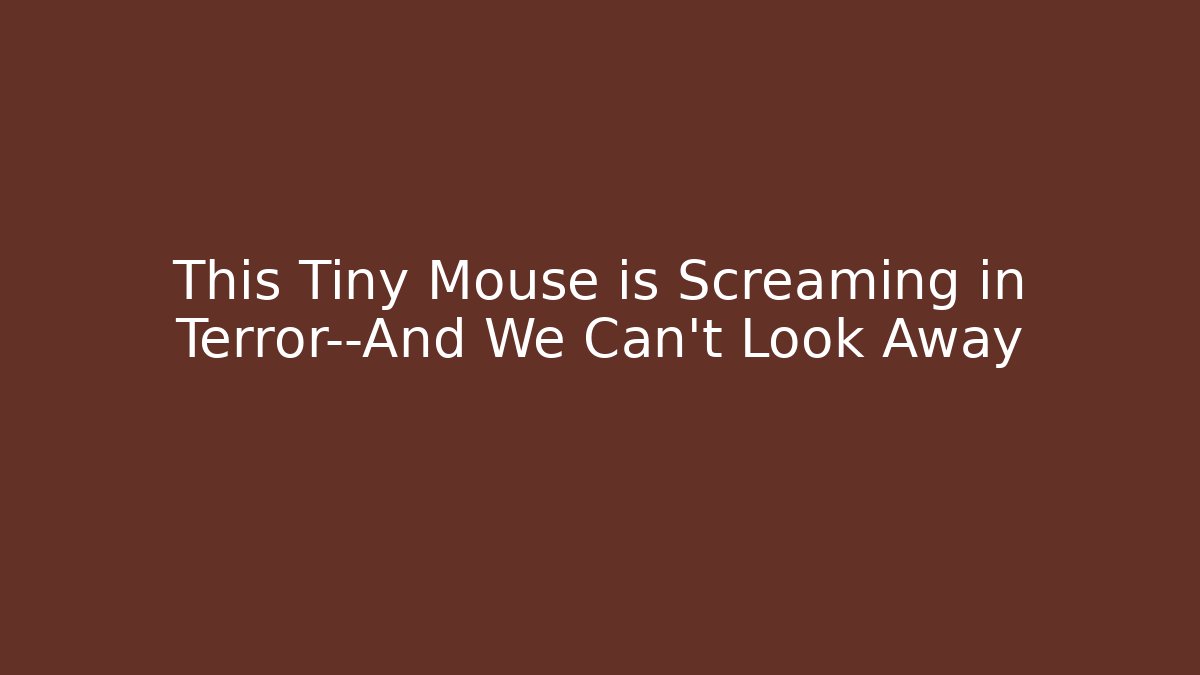 This Tiny Mouse is Screaming in Terror—And We Can't Look Away - Andrea Zevedo