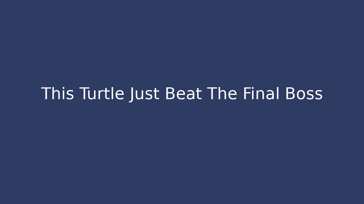This Turtle Just Beat The Final Boss